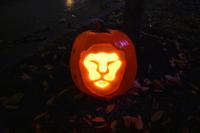 bat brave lion pumpkin 