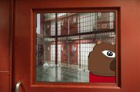 bobo in prison block 