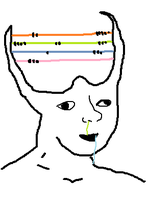 brainlet abacus 