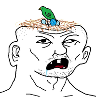 brainlet bird nesting 