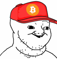 brainlet bitcoin hat 