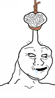 brainlet brain hung 