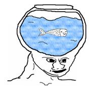 brainlet fishbowl brain 