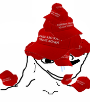 brainlet maga hats 