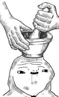 brainlet mortar pestle brain 