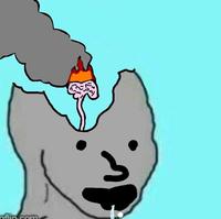 brainlet npc tiny brain fire 