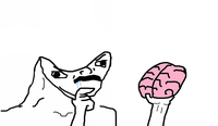 brainlet unsure of brain 