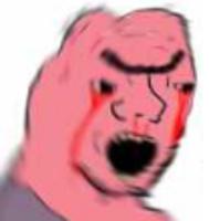 grug pink soy boy 