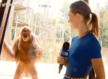 creepy monkey interview 