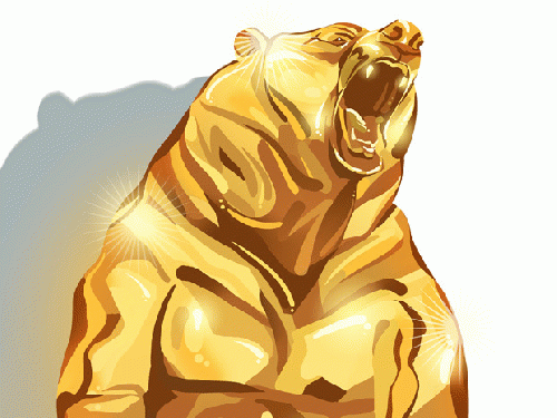 golden bear 