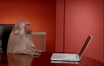 monkey throwing computer off desk 