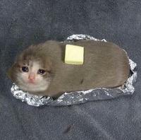 baked cat potato sad 