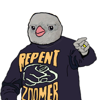 bird boomer repent zoomer 