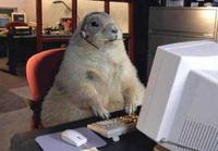 call center ground hog 