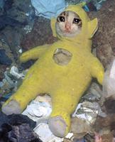 cat crying teletubbie costume 