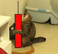 cat holds red stock candlestick 