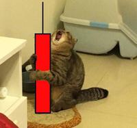 cat screaming holding red candle 