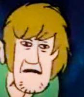 confused shaggy 
