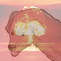 dog nuclear 