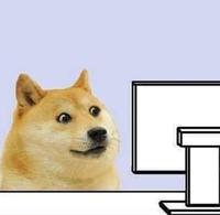 doge computer surprise 