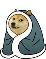 doge in comfy blanket 