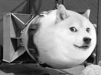 doge nuclear bomb 
