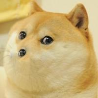 doge with eye nose 