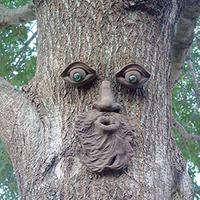 excited tree face 