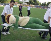 frog on stretcher 