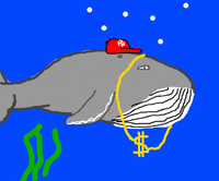 g whale 