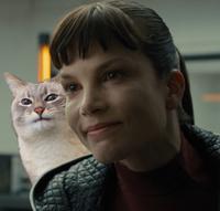 intimidating cat lady bladerunner 