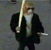 monkey gangster smoking cigarette carrying bat 