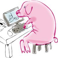 pig at computer 