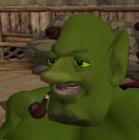 shrek npc 