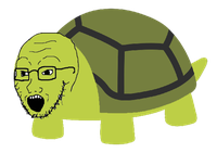 soiboi turtle 