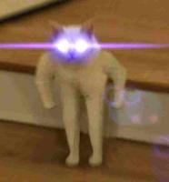 standing cat glowing eyes 