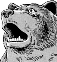 terrified comic bear 