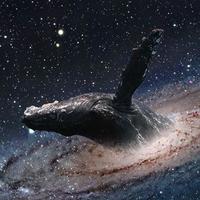 whale galaxy 