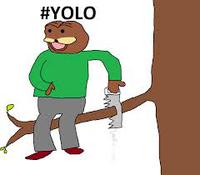 yolo spurdo 