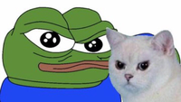pepe and angry cat meme 