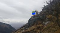 pepe and sheep on side of hill 
