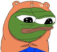 pepe bear pullover 