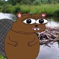 pepe beaver at dam 