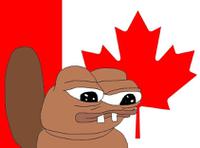 pepe beaver canada 