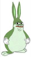 pepe big chungus rabbit 