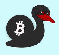 pepe black swan bitcoin snail smug 