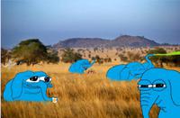 pepe blue elephants on sahara 
