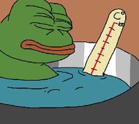 pepe boiling water thermometer 