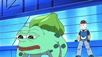 pepe bulbasaur pokemon wojak trainer 