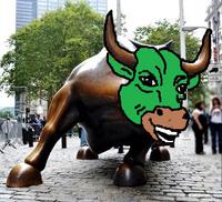 pepe bull chicago 